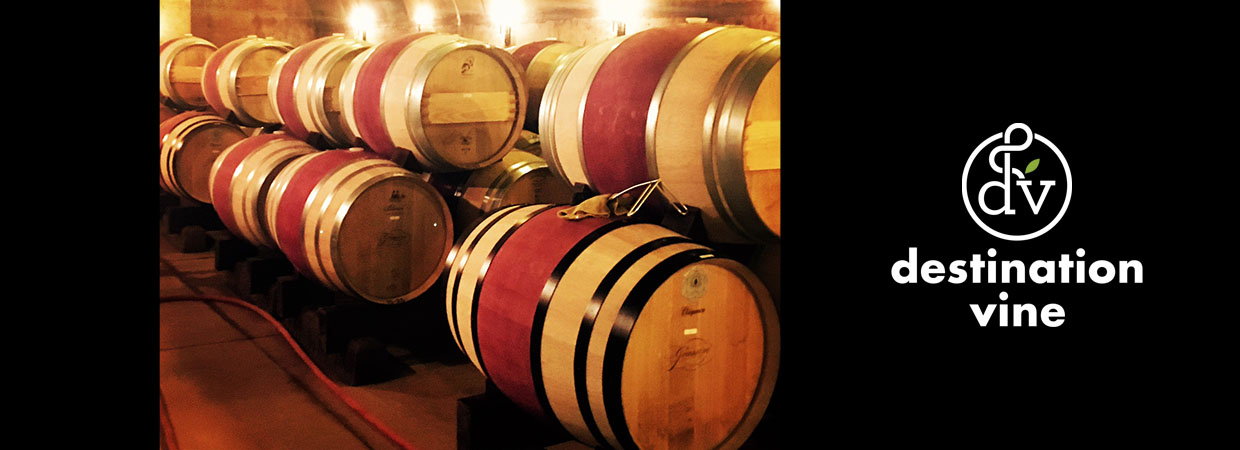 wine tour barrels 1240