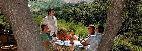 wine tour guys 470